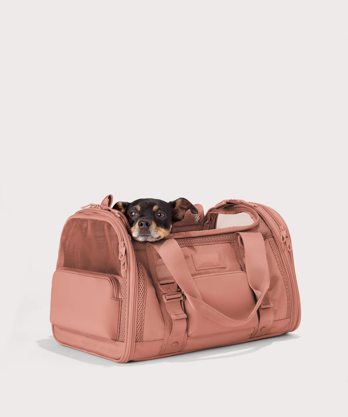backpackdagnedover.it.com