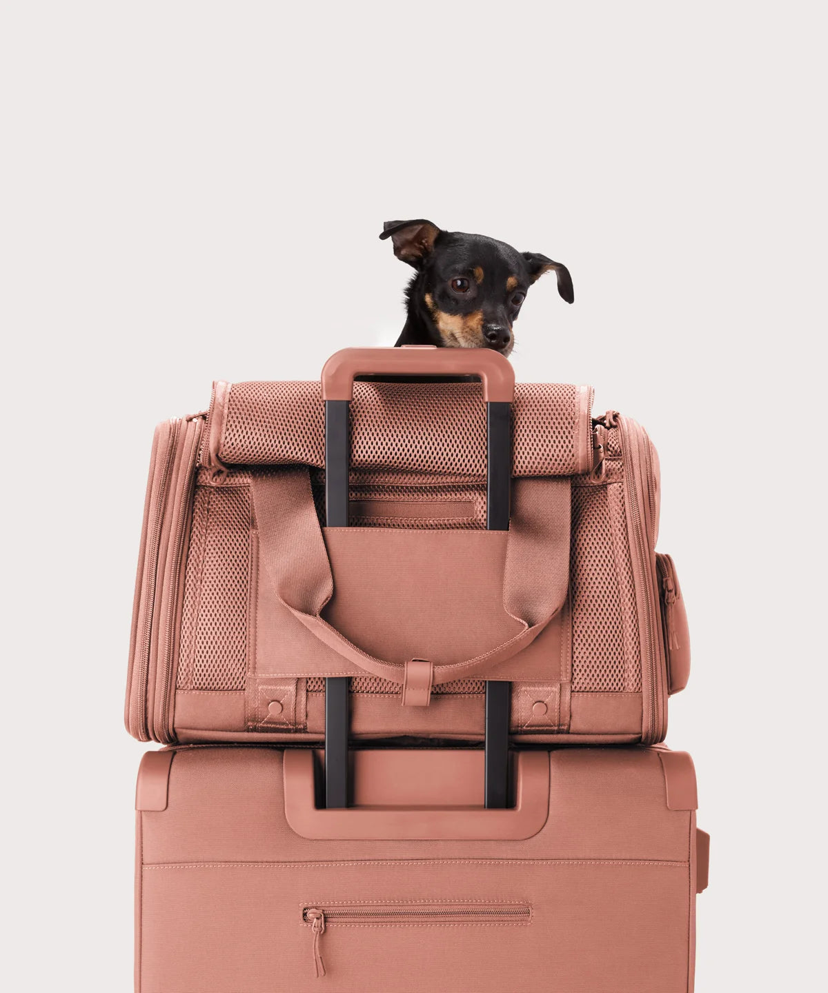 backpackdagnedover.it.com