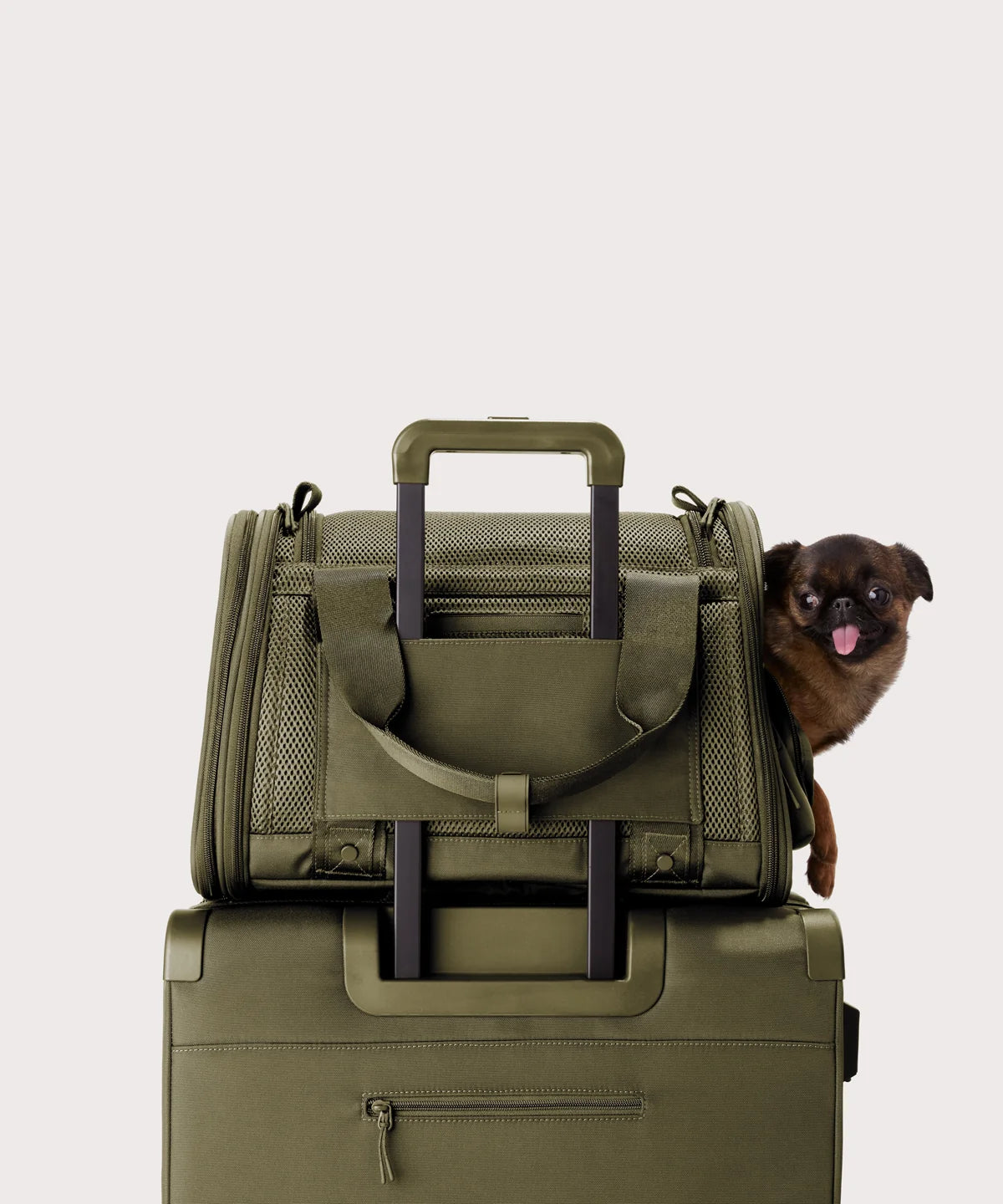 backpackdagnedover.it.com