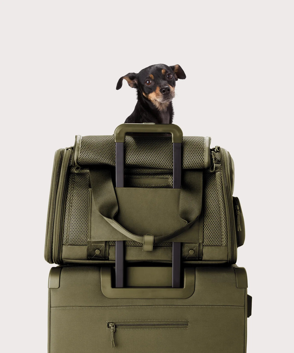 backpackdagnedover.it.com
