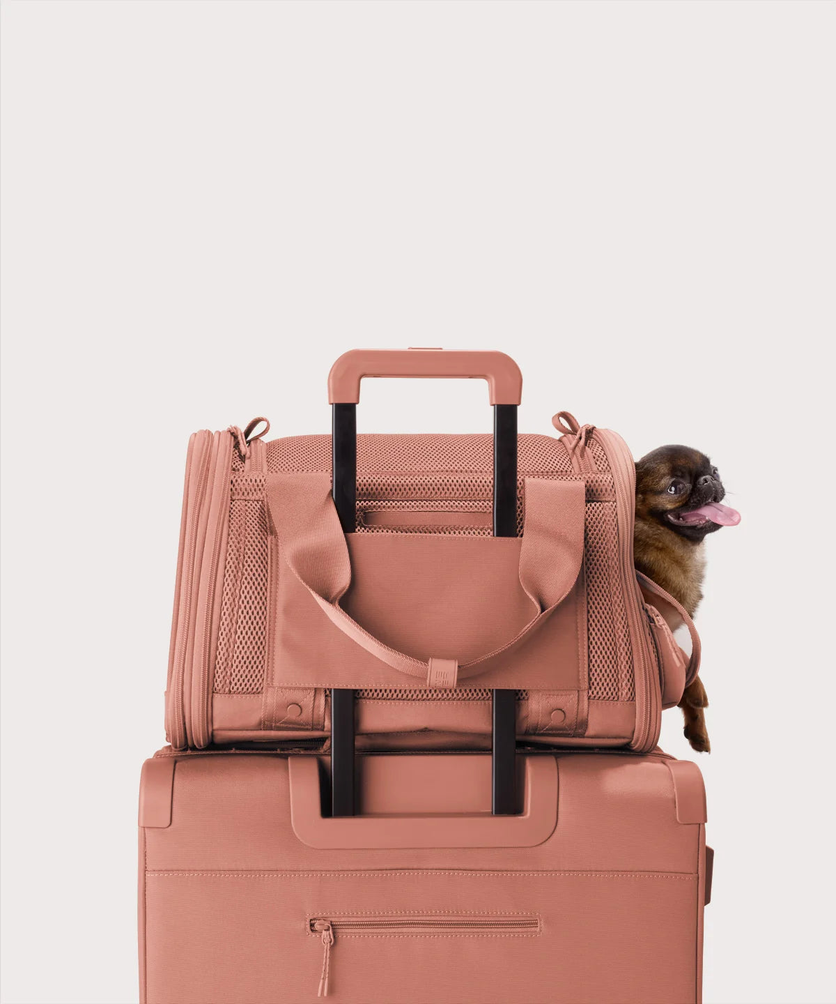 backpackdagnedover.it.com
