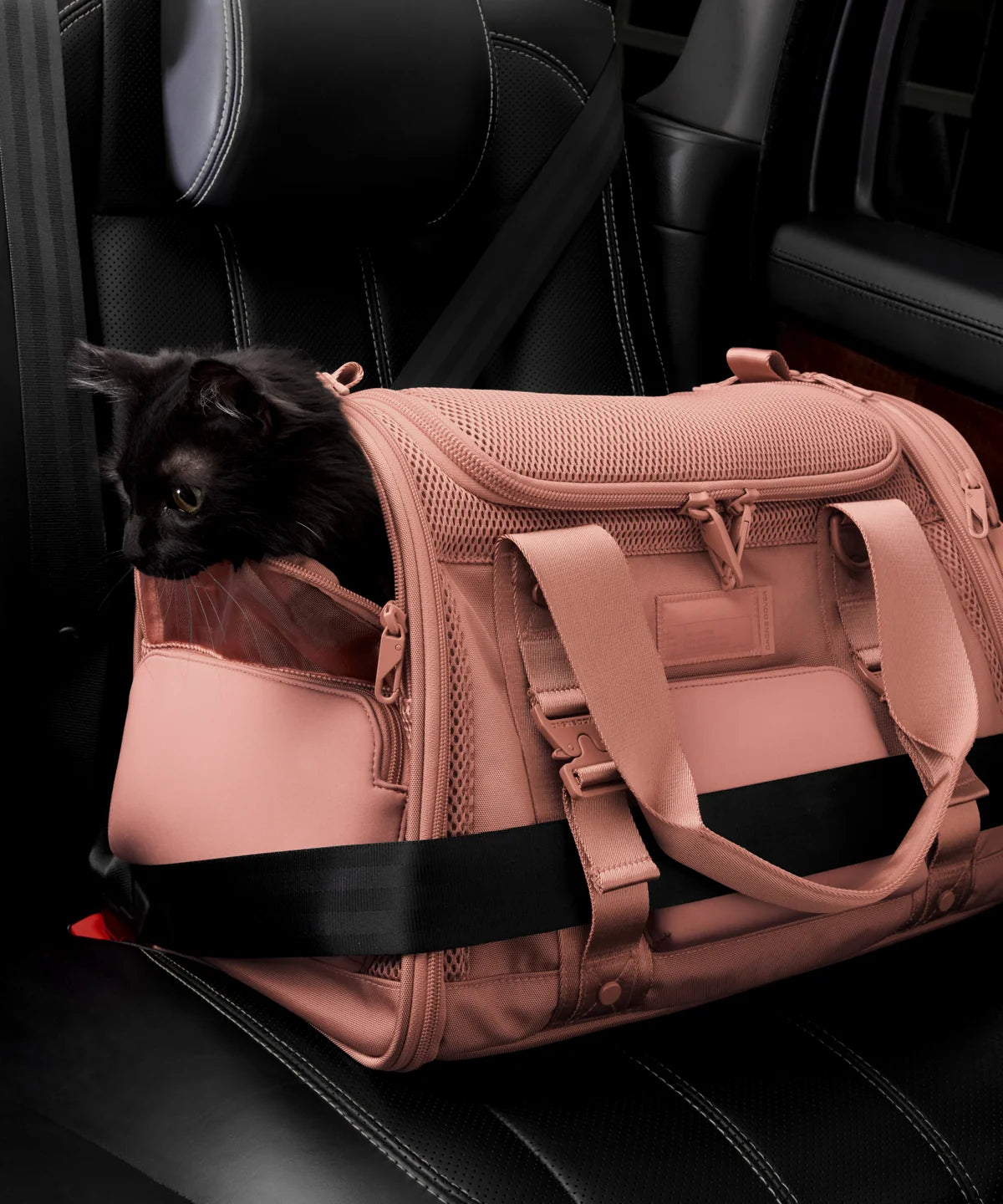 backpackdagnedover.it.com