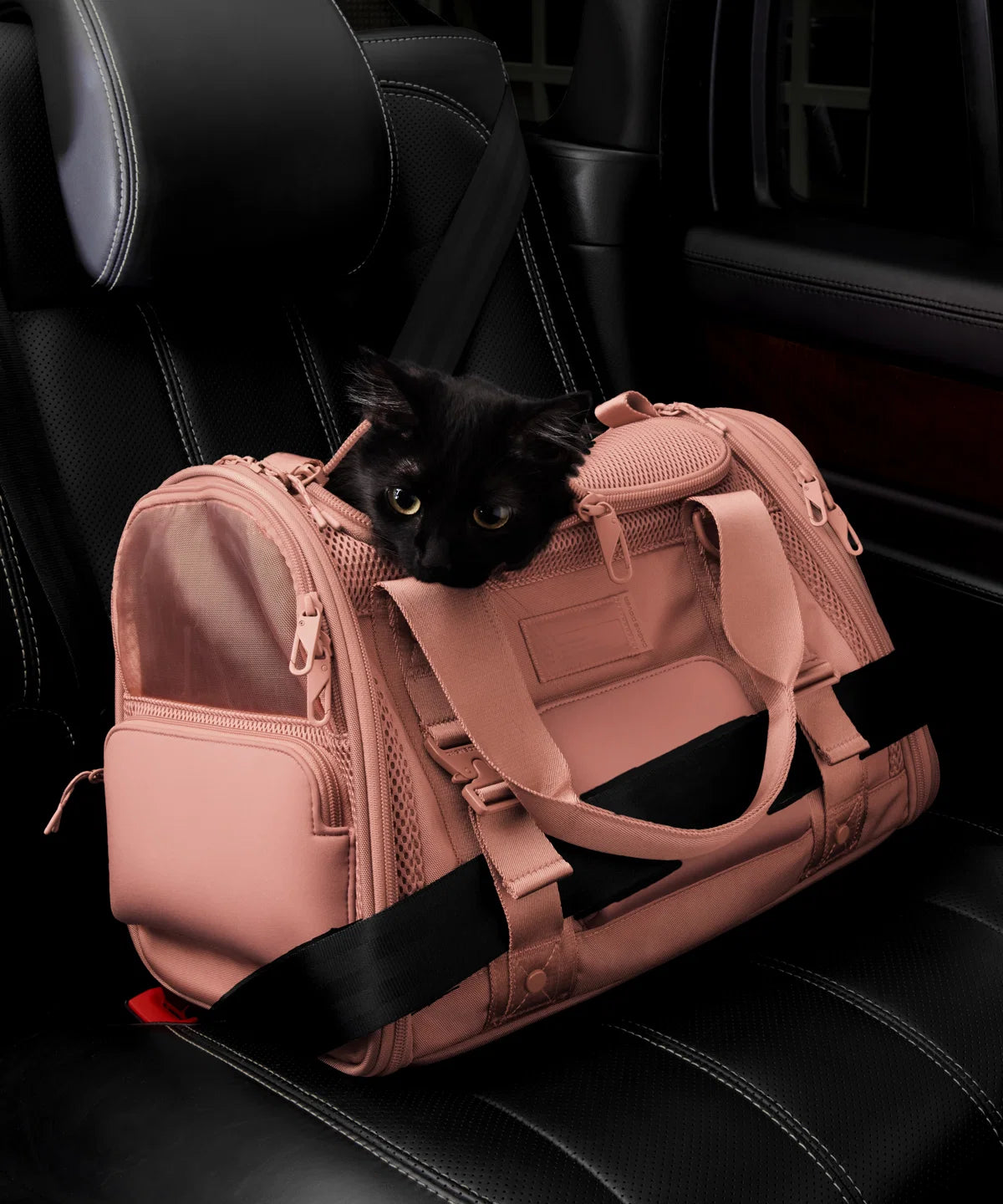 backpackdagnedover.it.com