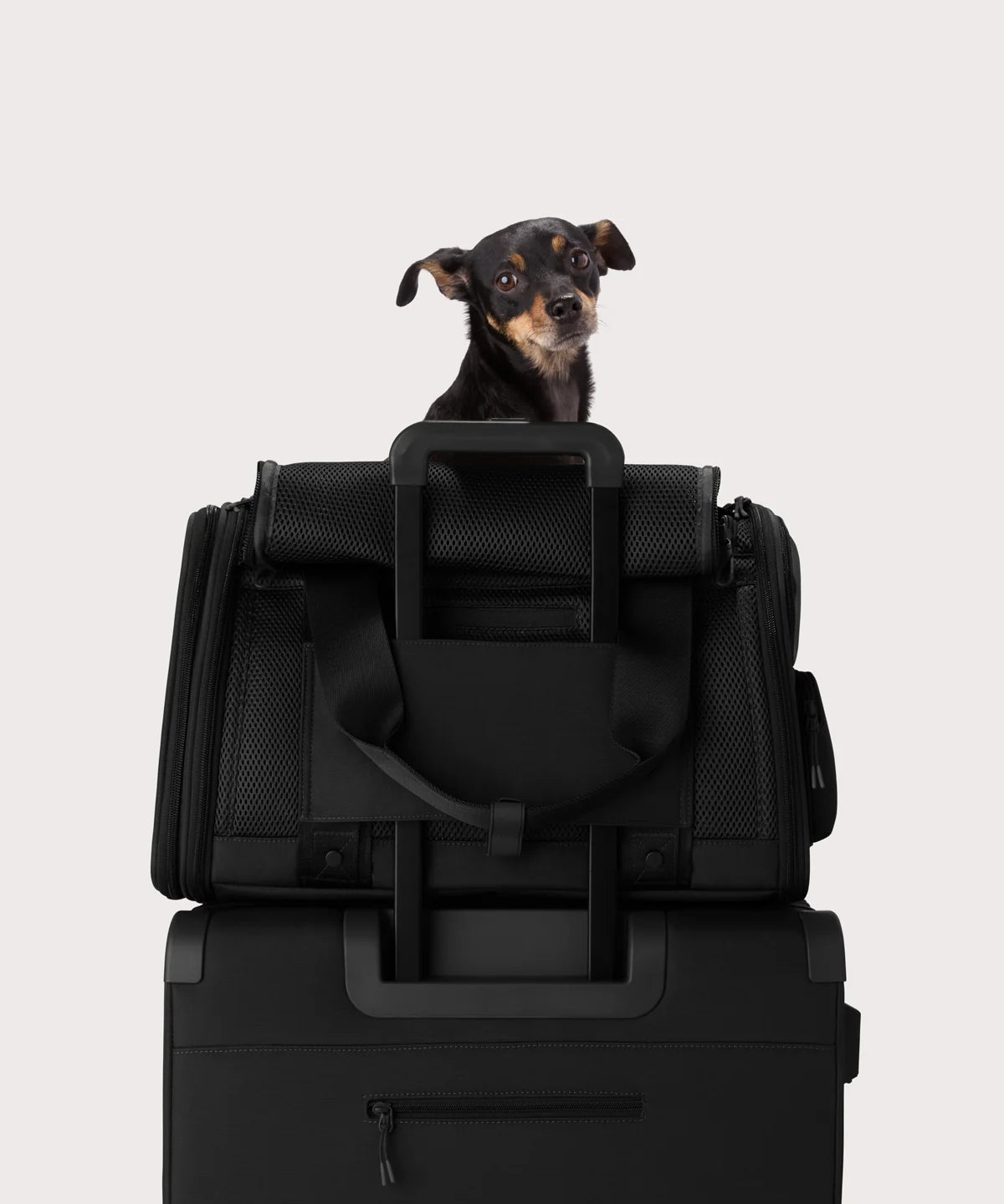 backpackdagnedover.it.com