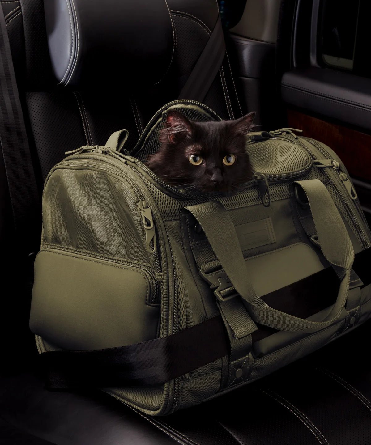 backpackdagnedover.it.com