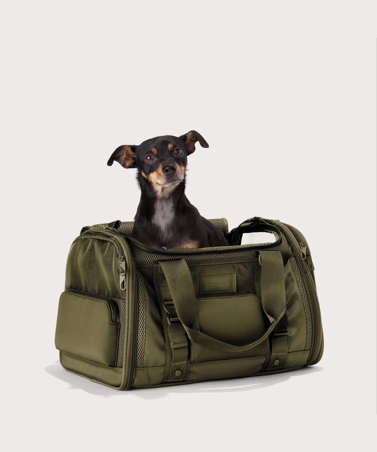 backpackdagnedover.it.com