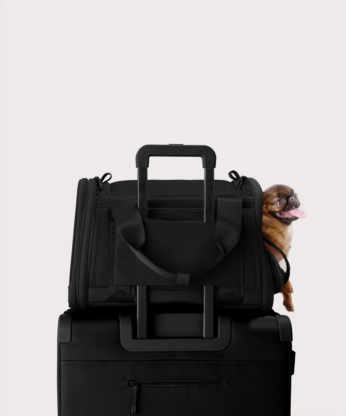 backpackdagnedover.it.com