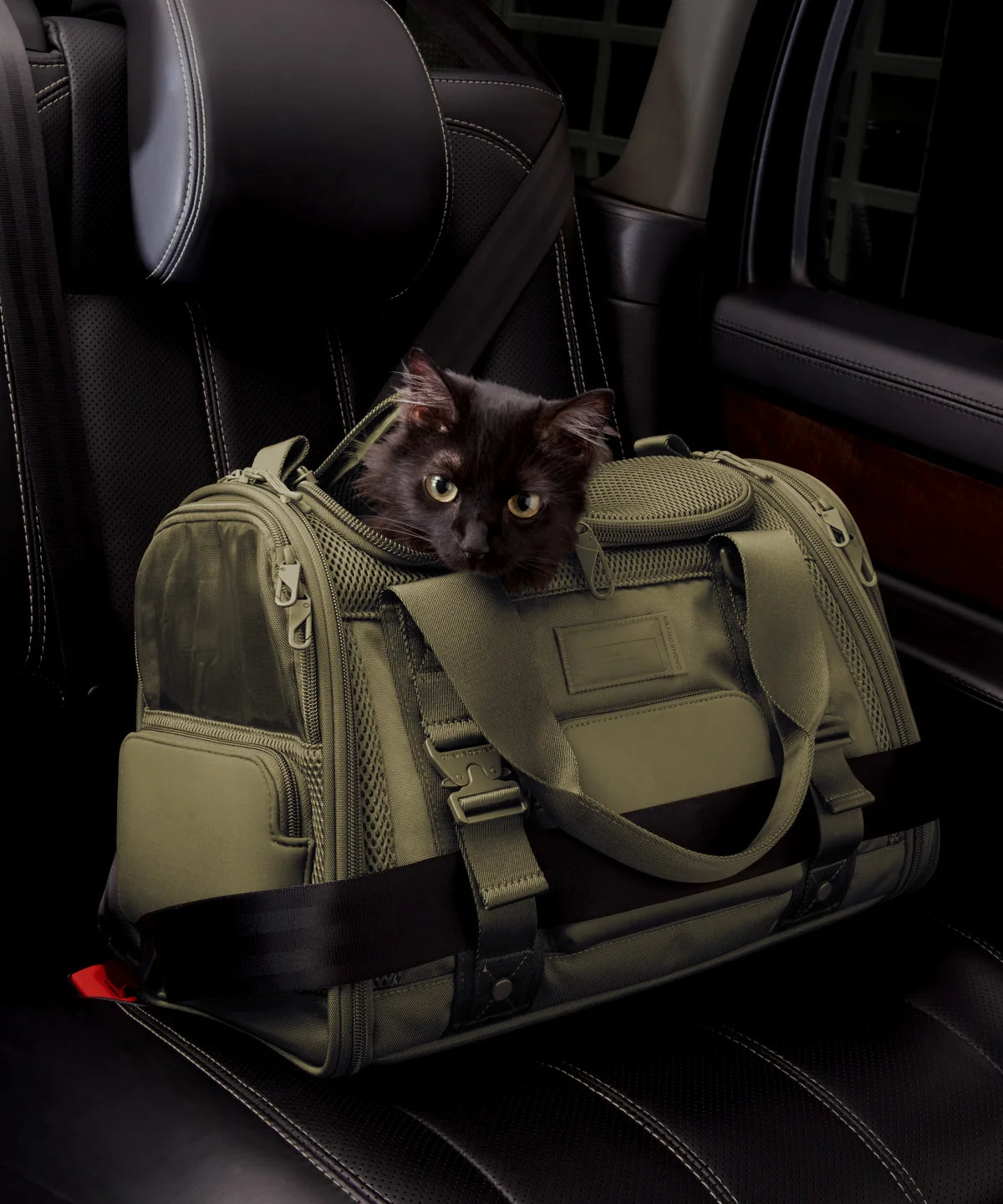 backpackdagnedover.it.com